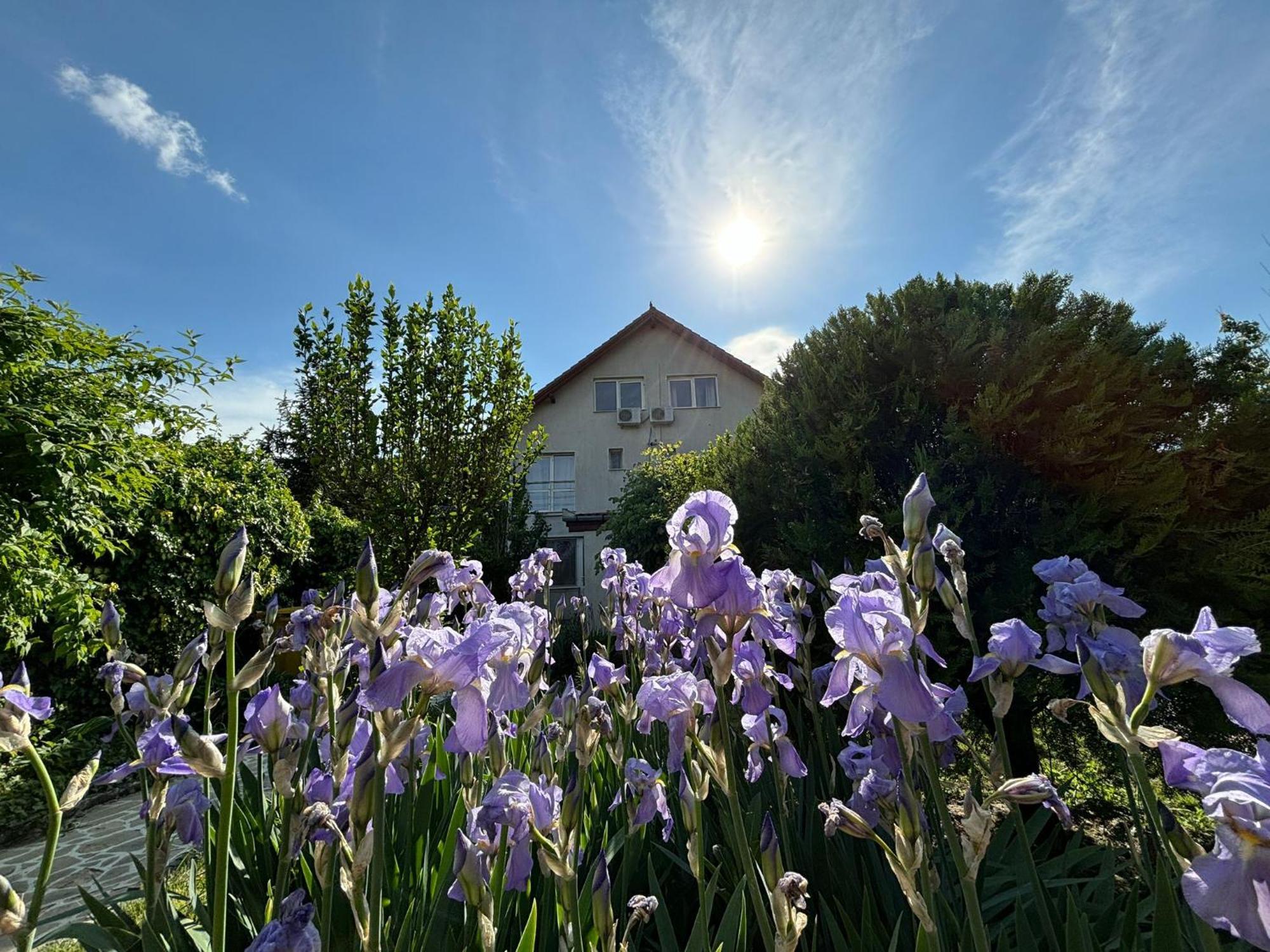 Vila Daddy Deva Buitenkant foto